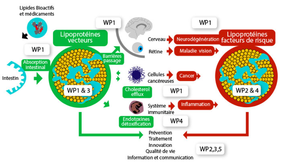 WP_LipSTIC